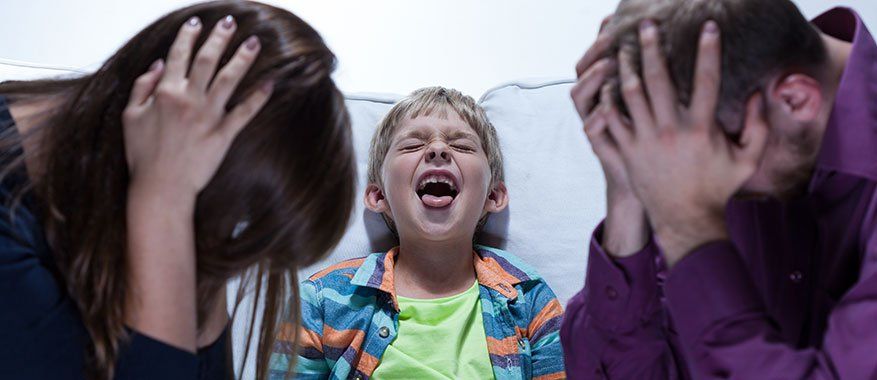 montessori features