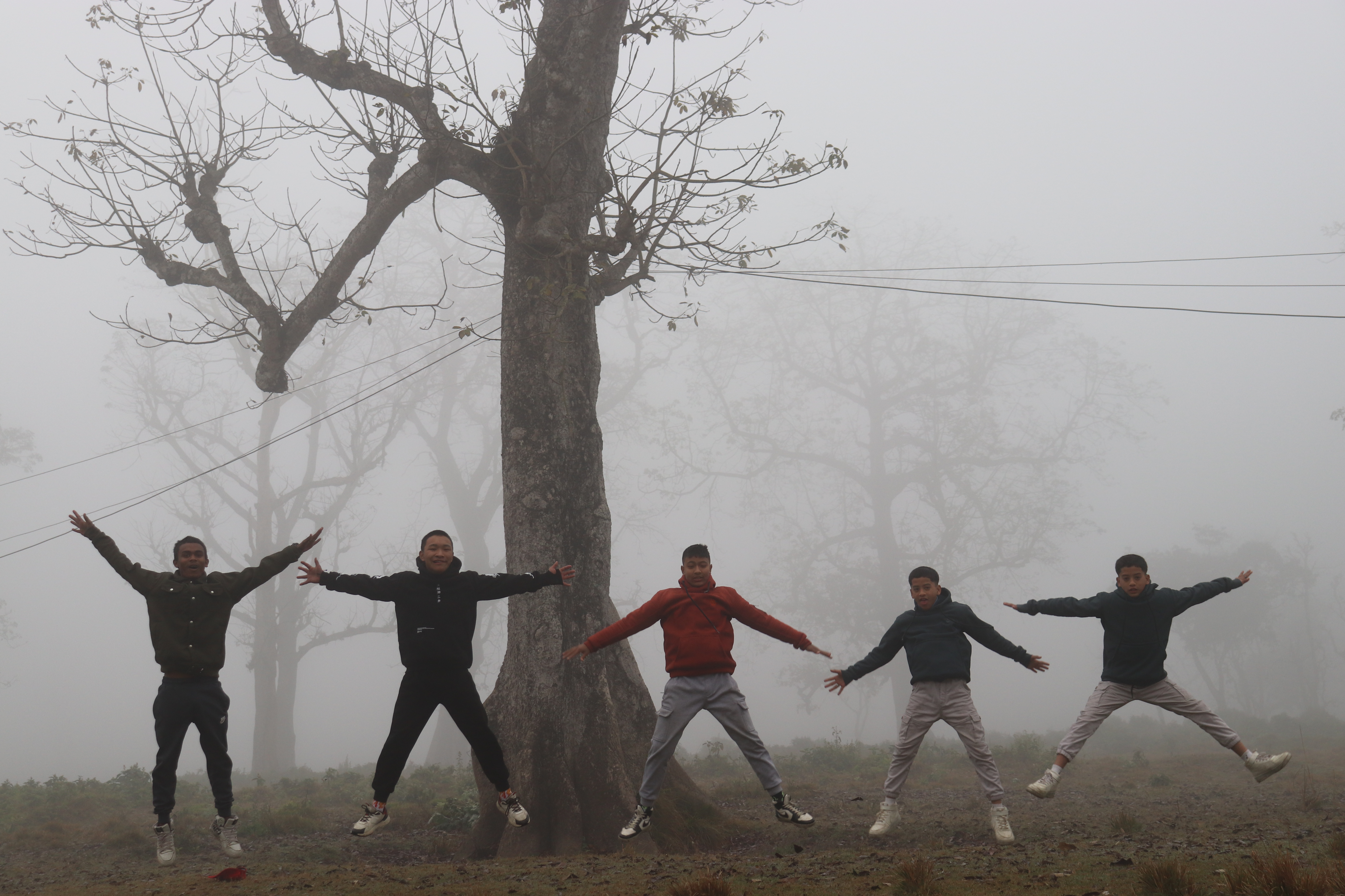 Study Tours/Field Trips/Educational Excursions