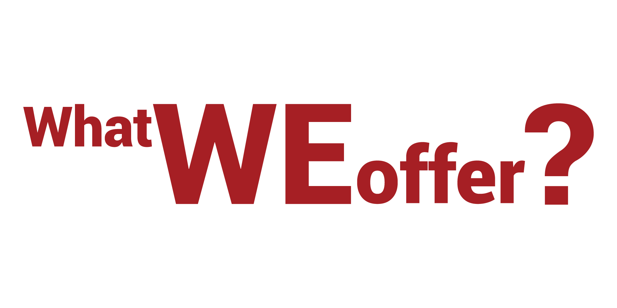 what we offer