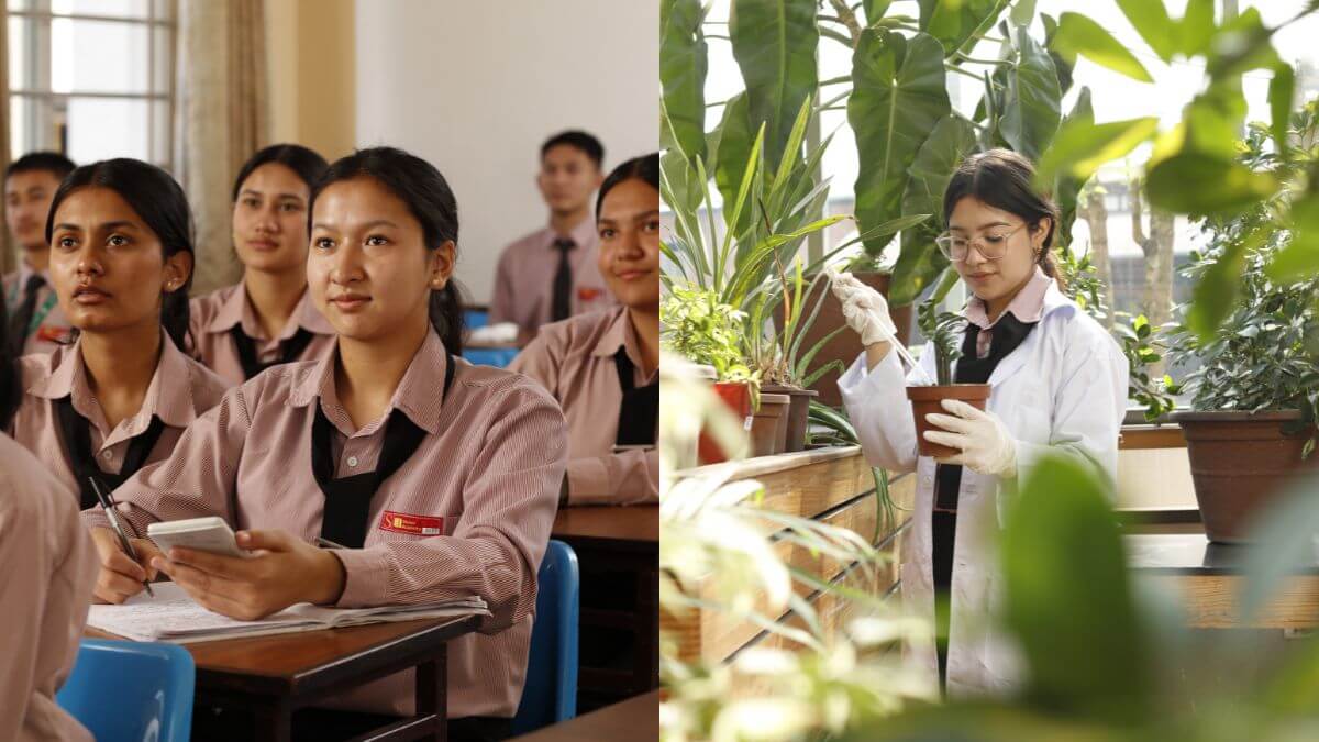 Science vs Humanities After SEE Nepal: Making Right Choice