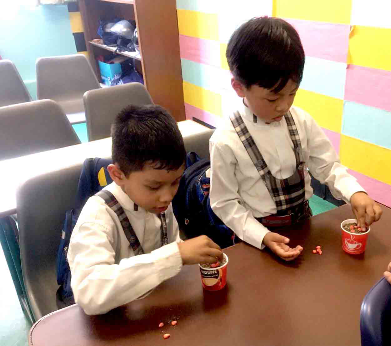 Tiny Toddlers Engaging in Seed Germination Test
