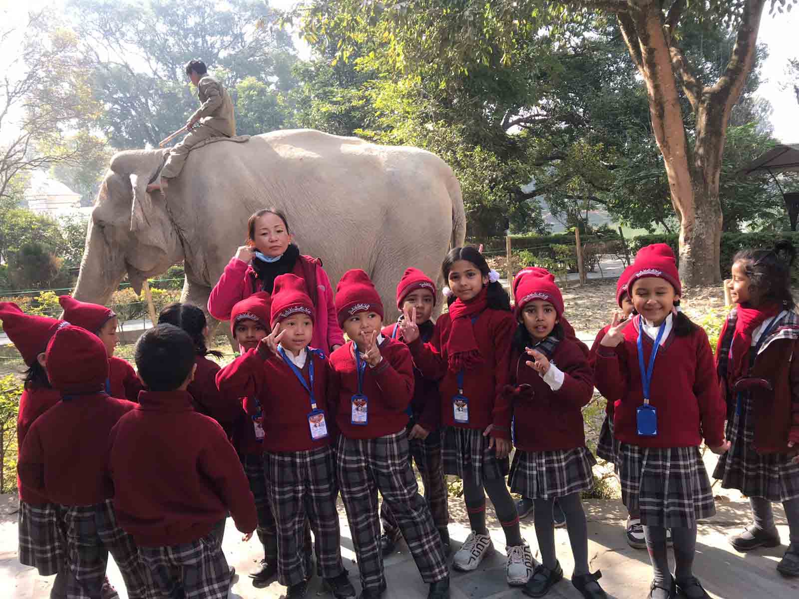 Tiny Tots' Field Trip to Central Zoo