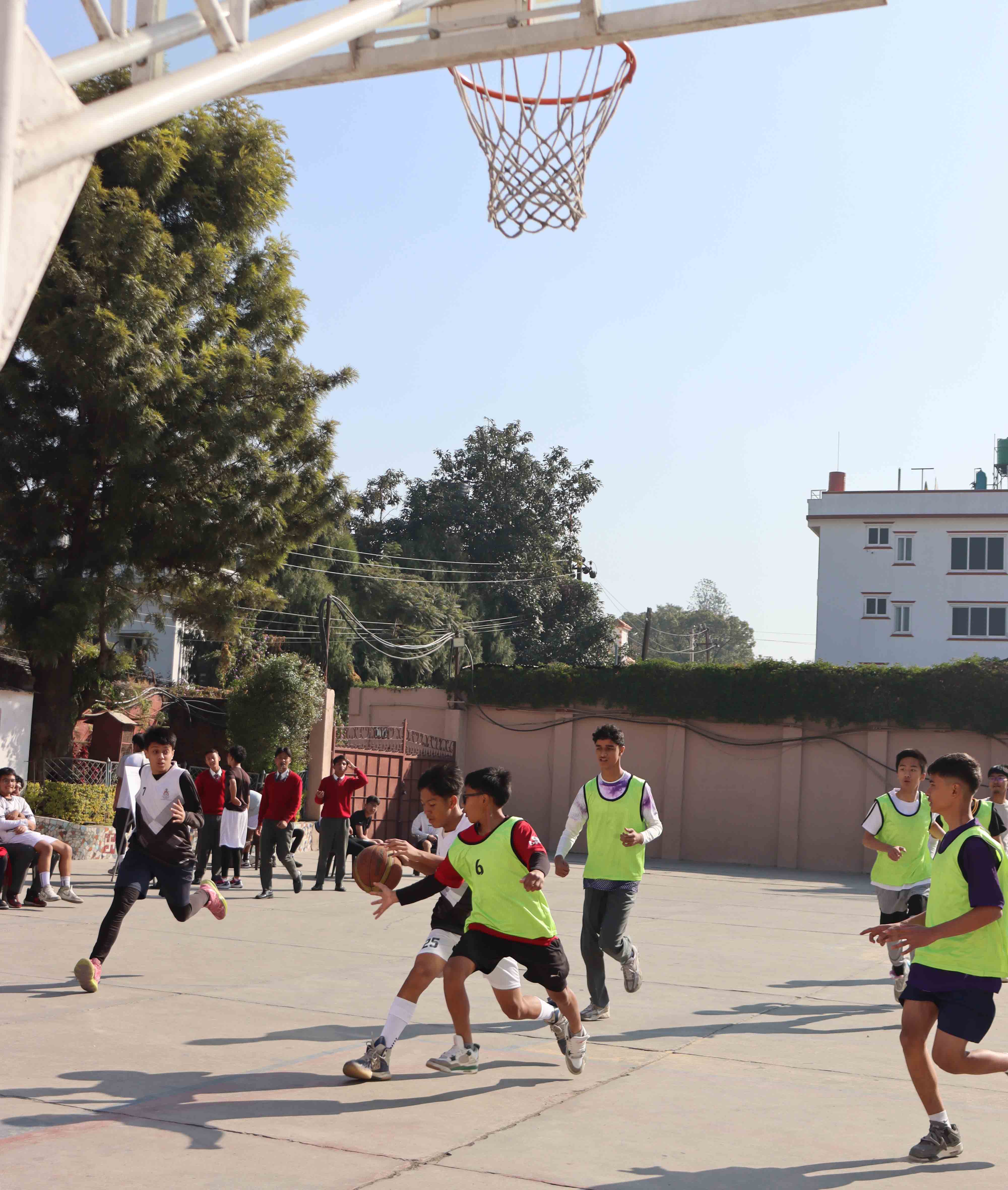 Inter House Basketball and Cricket Tournaments for Grade V, IX and X