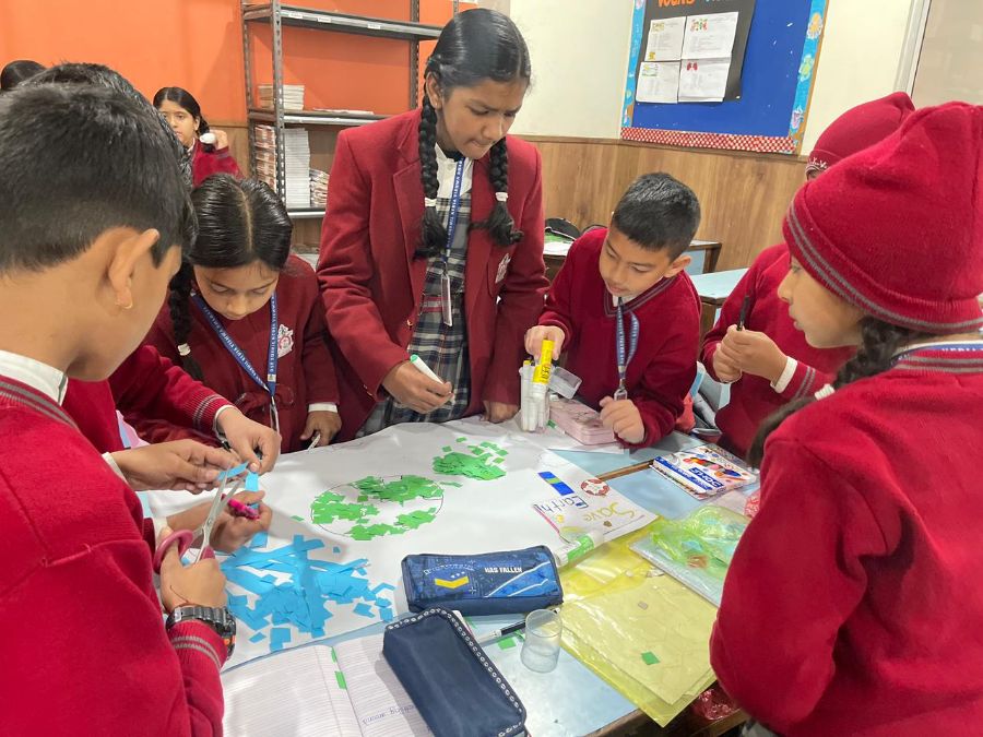 Competition on Plastic Planet: A Collage of Concern