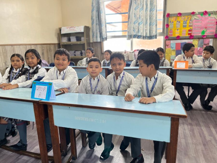 Grammar Quiz in Junior School