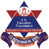 VS-Logo